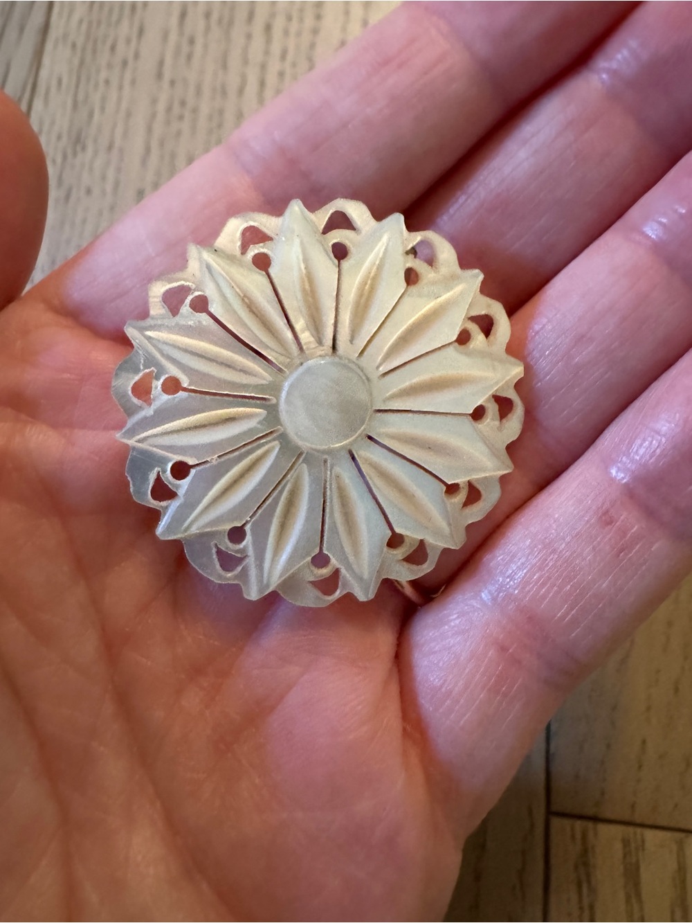 Mother of Pearl Brooch Vintage